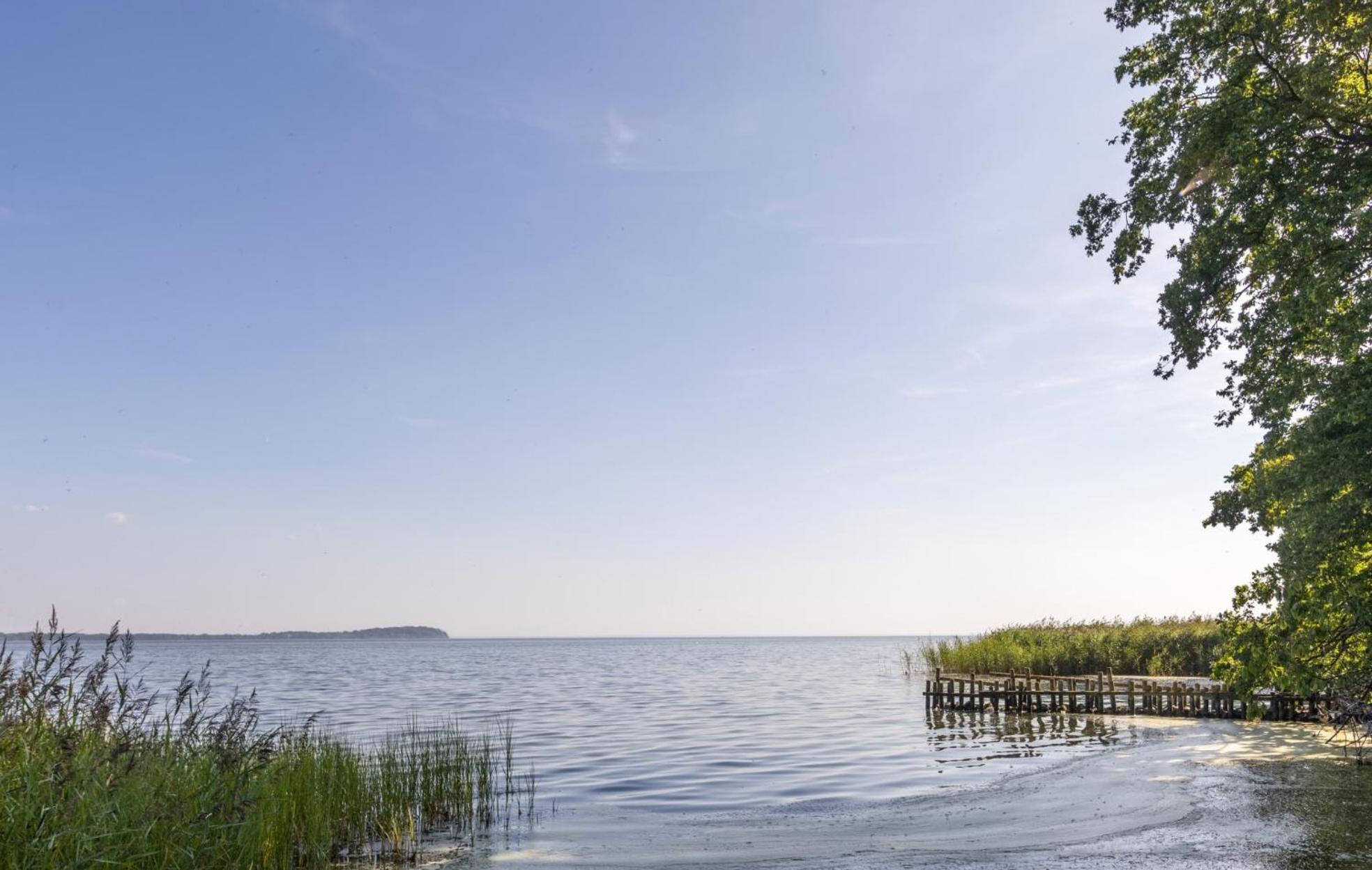 Ferienwohnung Hafenliebe, Villa Vilmblick Mit Meerblick Lauterbach  Exteriör bild